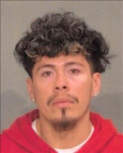 Jairo Alejandro Lemus Alfaro a registered Sex Offender of Nevada