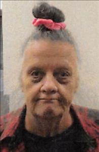 Marilyn S Saber a registered Sex Offender of Nevada