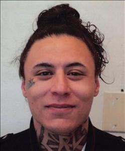 Ryder Race Db Sparks a registered Sex Offender of Nevada