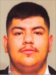 Luis Fernando Ramirez-estrada a registered Sex Offender of Nevada