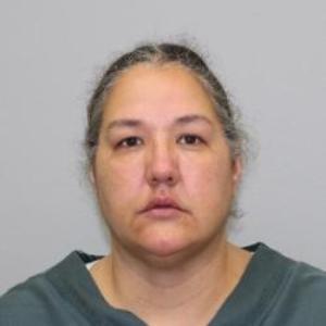 Diana L Bressette a registered Sex Offender of Wisconsin