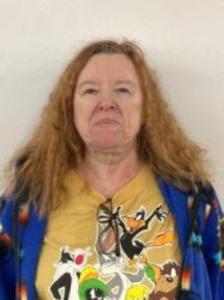 Sandra Lynn Plansky a registered Sex Offender of Wisconsin
