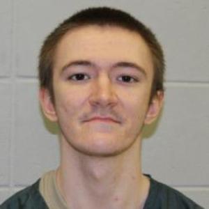 Dyllon R Lazic a registered Sex Offender of Wisconsin