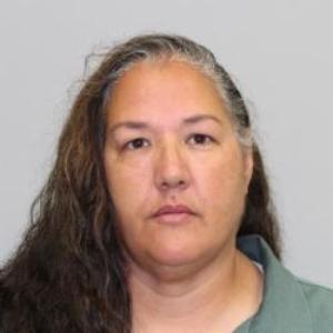 Diana L Bressette a registered Sex Offender of Wisconsin