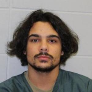 Nicholas Gerald Landowski a registered Sex Offender of Wisconsin