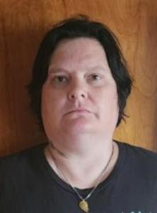 Michelle L Sontag-reed a registered Sex Offender of Wisconsin