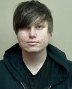 Mitchell Lee Roeglin a registered Sex Offender of Wisconsin