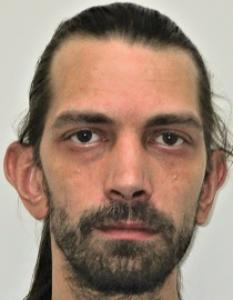 Ian Michael Harris a registered Sex Offender of Virginia