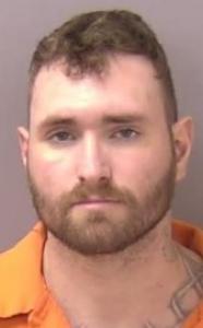 Travis Tritt Mcnett a registered Sex Offender of Virginia