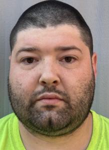Austin Gregory Low a registered Sex Offender of Virginia