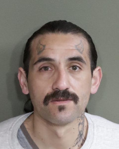 Rene Avila Baeza a registered  of Washington