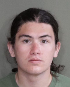 Donald Lavern Louie a registered Offender of Washington