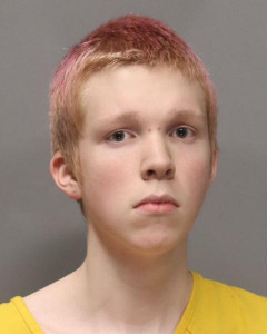 Cameron Gage Samuel Silva a registered Offender of Washington