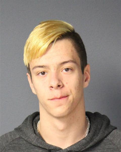 Cameron Lou Gary Wiese a registered Sex Offender of Maryland