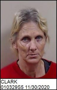 Amy Elizabeth Clark a registered Sex Offender of North Carolina