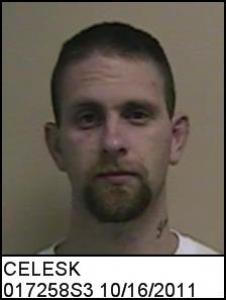 James Roy Celesk a registered Sex Offender of Connecticut