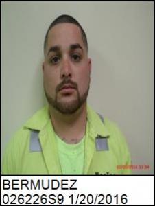 Baldemar Jr Bermudez a registered Sex Offender of Texas