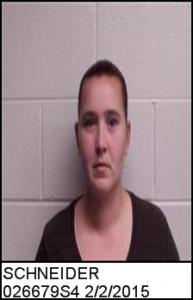 Sara Melissa Schneider a registered Sex Offender of South Carolina