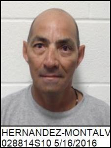 Carmelo Hernandez-montalvo a registered Sex Offender of Georgia