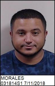 Rodolfo Morales a registered Sexual Offender or Predator of Florida