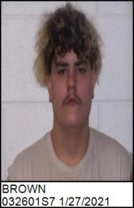 Ethan Nathaniel Brown a registered Sex Offender of North Carolina