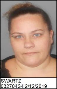 Jennifer Sue Swartz a registered Sex Offender of South Carolina