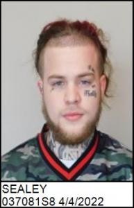 Dylan Joe Sealey a registered Sex Offender of North Carolina