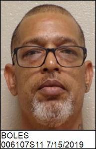 Ronald Lewis Boles a registered Sex Offender of North Carolina