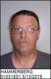 Michael Wayne Hammerberg a registered Sex Offender of North Carolina