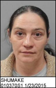 Tina Michelle Shumake a registered Sex Offender of North Carolina