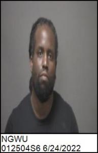 Chinedu David Ngwu a registered Sex Offender of North Carolina