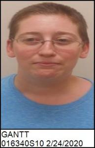 Kristine Michelle Gantt a registered Sex Offender of North Carolina