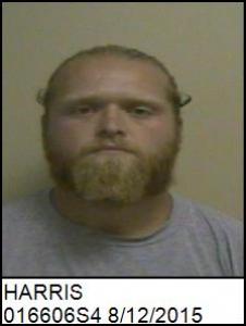 Derek Allen Harris a registered Sex Offender of North Carolina