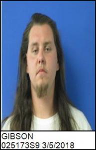 Matthew Levi Lewis Gibson a registered Sex Offender of North Carolina