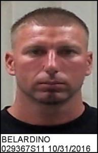Anthony P Belardino a registered Sex Offender of North Carolina