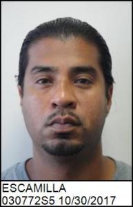 Jose Luis Jr Escamilla a registered Sex Offender of Georgia