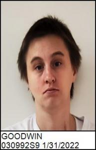 Heather Mae Goodwin a registered Sex Offender of North Carolina