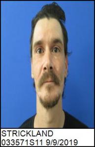 Scott Allen Strickland a registered Sex Offender of North Carolina