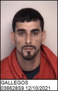 Alejandro Gallegos a registered Sex Offender of North Carolina