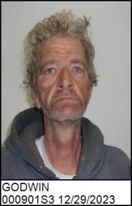 Johanna Godwin a registered Sex Offender of North Carolina