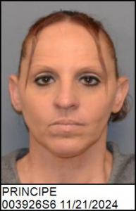 Amanda Jean Principe a registered Sex Offender of North Carolina