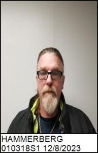 Michael Wayne Hammerberg a registered Sex Offender of North Carolina