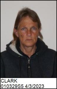 Amy Elizabeth Clark a registered Sex Offender of North Carolina