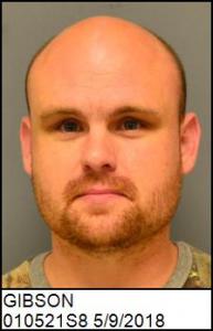 William Andrew Gibson a registered Sex Offender of North Carolina