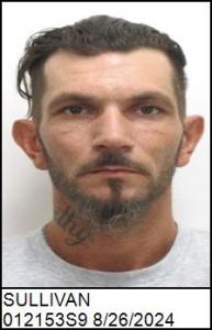 Dustin Lewis Sullivan a registered Sex Offender of North Carolina