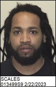 Robert Louis Iv Scales a registered Sex Offender of North Carolina