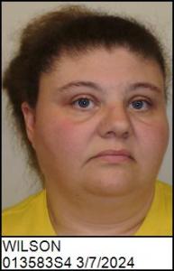 Angela Lynn Wilson a registered Sex Offender of North Carolina