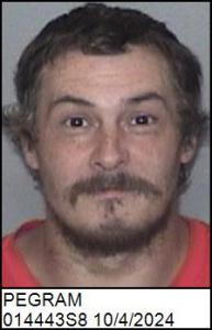 Christopher Ray Pegram a registered Sex Offender of North Carolina