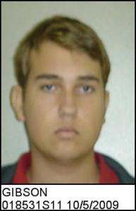 David Mason Gibson a registered Sexual Offender or Predator of Florida