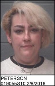 Elizabeth A Peterson a registered Sex Offender of North Carolina